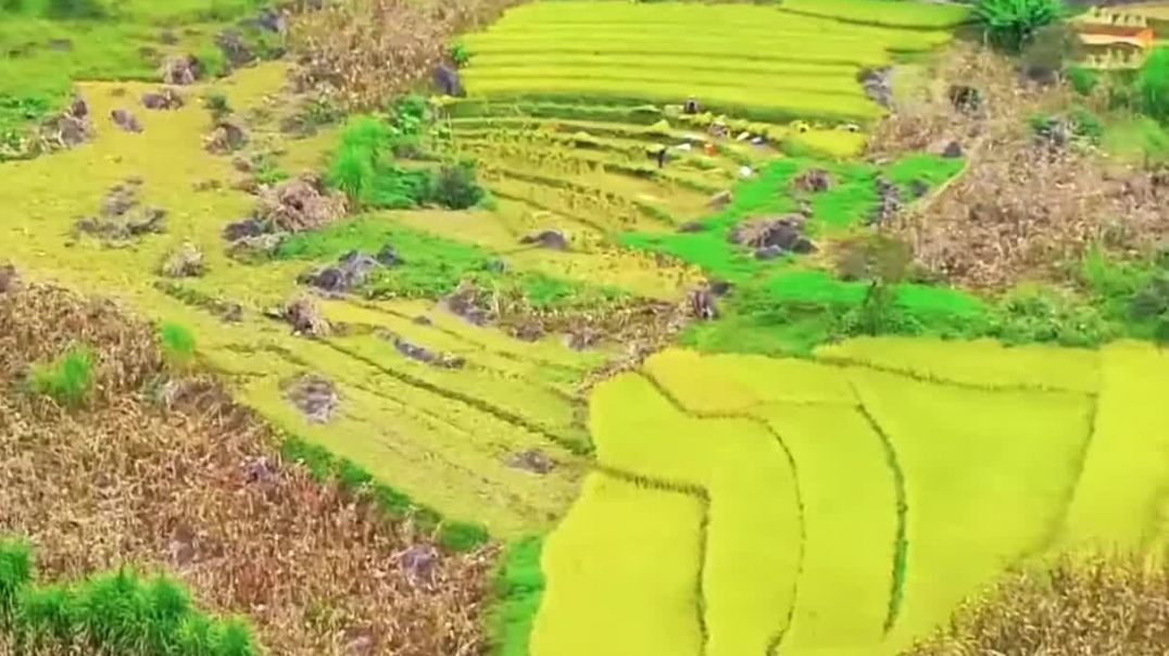 bản làng Hà Giang