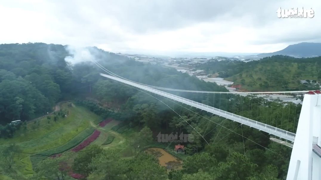 Trải nghiệm cầu đáy kính nối Thung lũng Tình Yêu vơi Đồi Mộng Mơ ở Đà Lạt, cao khoảng 90m so với mặt