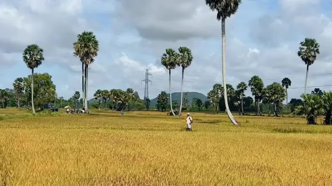 Review chuyến đi An Giang 3 ngày 2 đêm