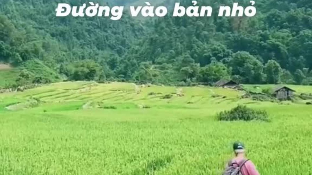 Top 3 điểm 'săn lúa' đẹp nhất miền Bắc