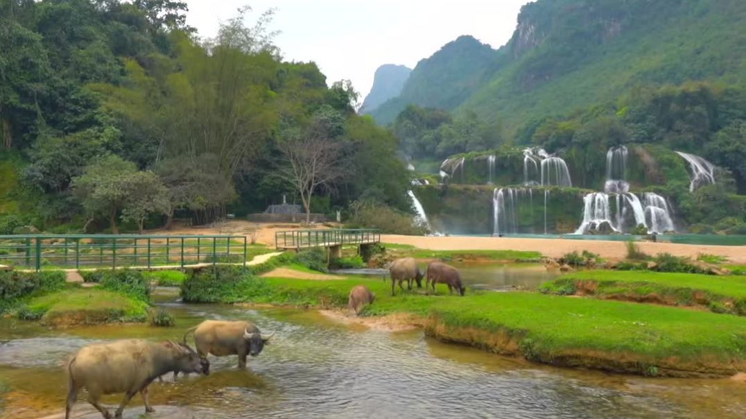 Thác Bản Giốc - vẻ đẹp hùng vĩ giữa đại ngàn