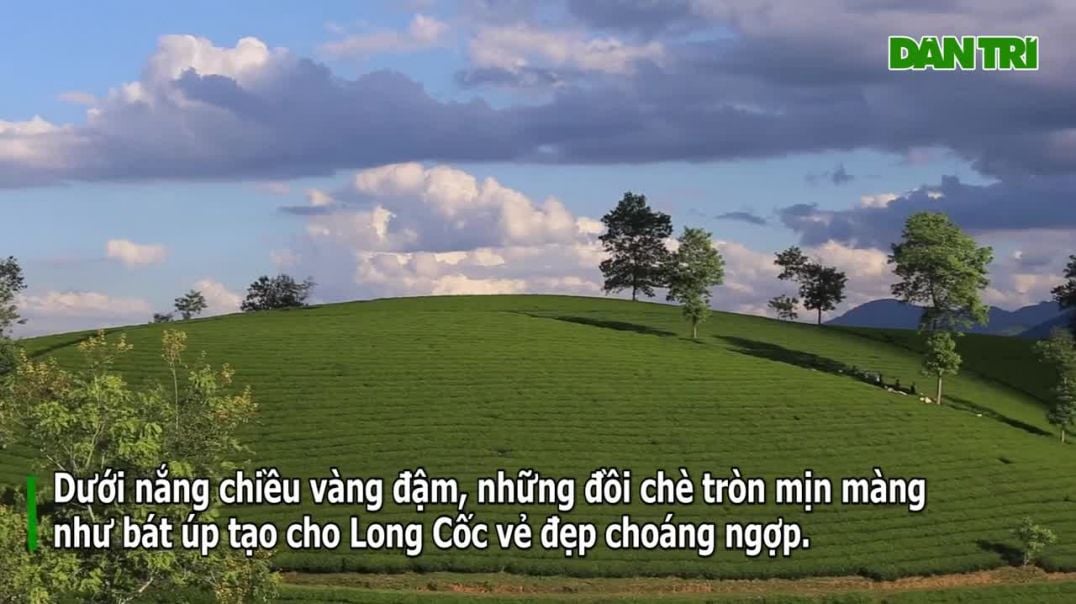 Cảnh sắc choáng ngợp của những đồi chè Long Cốc