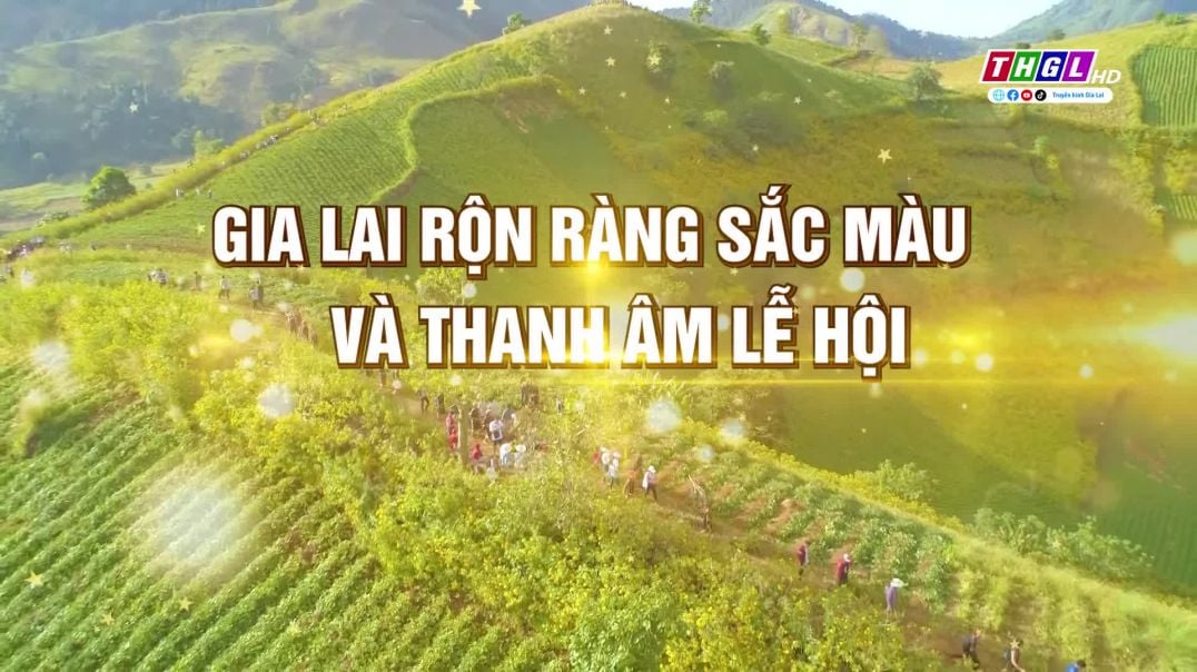 Bạn có hẹn cùng Gia Lai tháng 11 này?