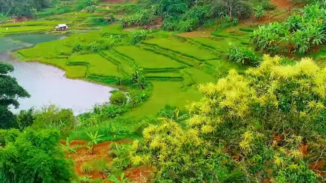 Ngắm 'Đôi mắt Pleiku' Biển Hồ đầy