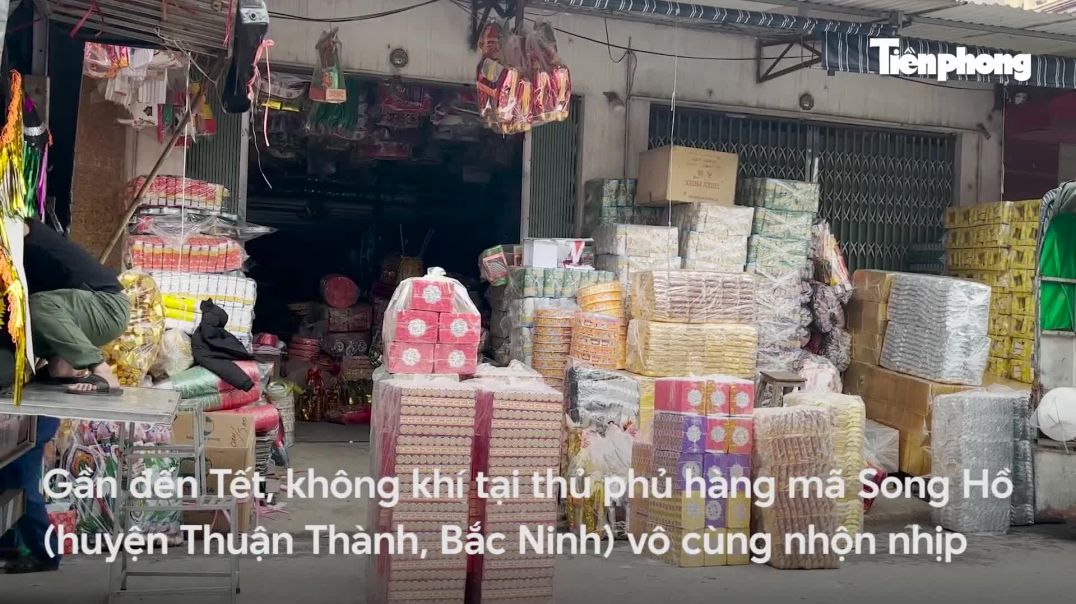 ⁣Cây tiền vàng mã tài lộc mini giá vài chục nghìn bán chạy dịp Tết