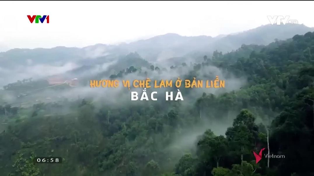 Hương vị chè lam ở Bản Liền, Bắc Hà