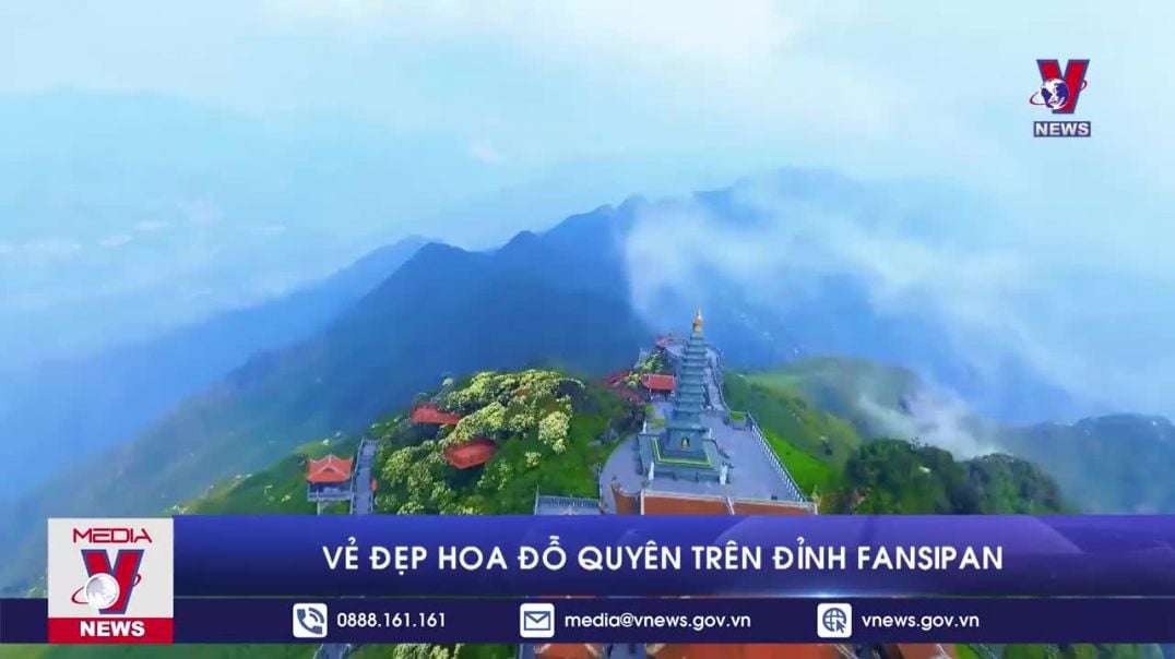 ⁣Vẻ đẹp hoa đỗ quyên trên đình Fansipan