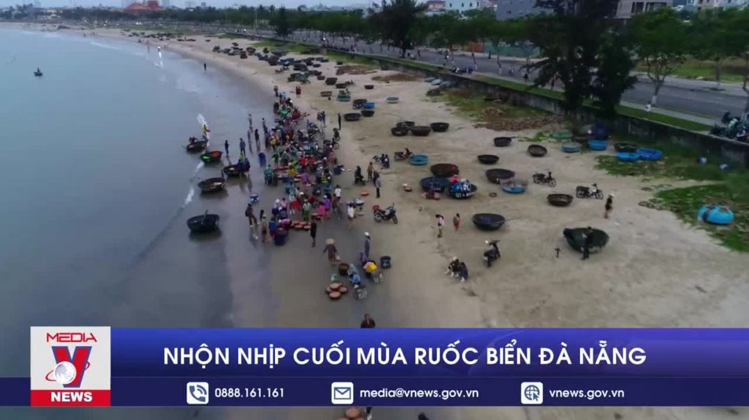 ⁣Nhộn nhịp mùa ruốc biển Đà Nẵng