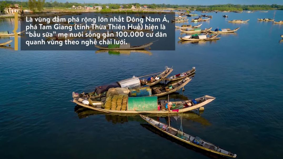 Phá Tam Giang mùa theo đuôi con cá