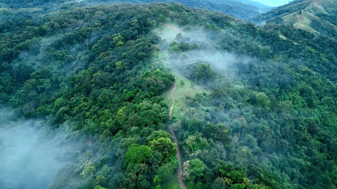 Tà Năng - Phan Dũng - cung trekking đẹp nhất Việt Nam