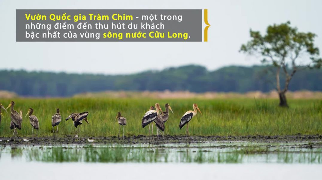 Ngôi nhà của những loài chim quý