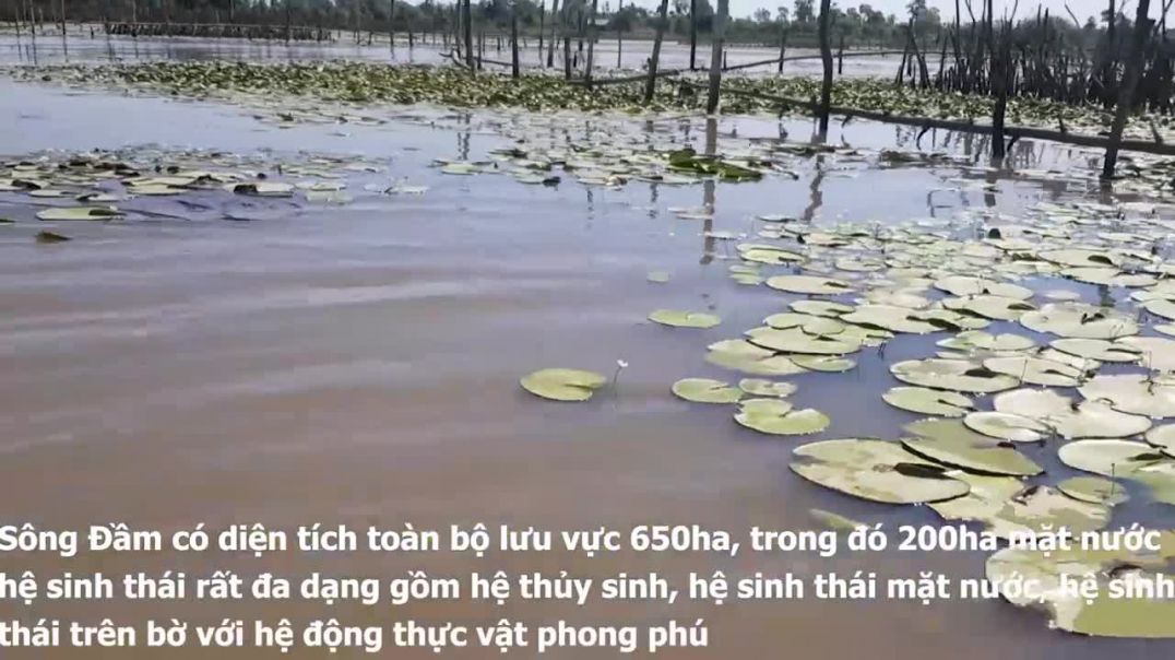 ⁣Khám phá Sông Đầm và cùng người dân thu hoạch cá, tôm