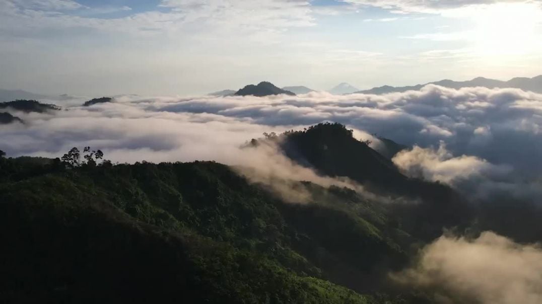 Mùa săn mây đẹp nhất ở thủ phủ sâm Ngọc Linh