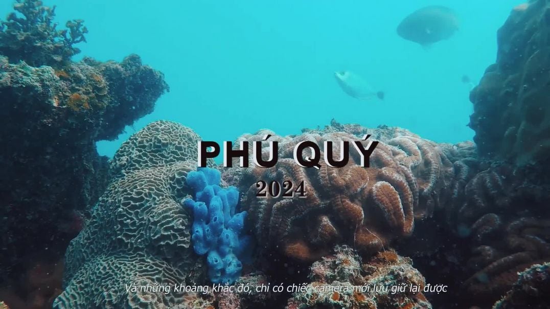 PHÚ QUÝ 2024