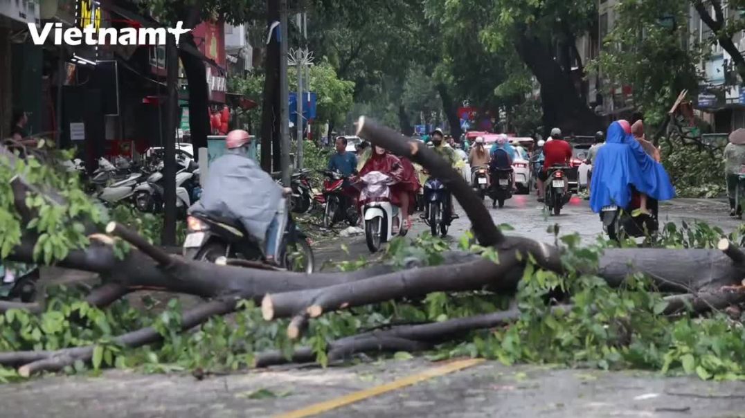 ⁣Hà Nội: Người dân đổ ra đường cùng chung tay khắc phục hậu quả bão số 3