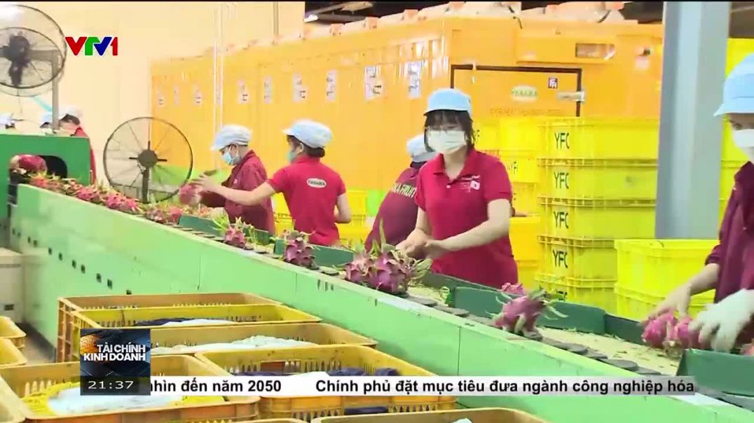 Nhộn nhịp xuất khẩu nông sản cuối năm 2024