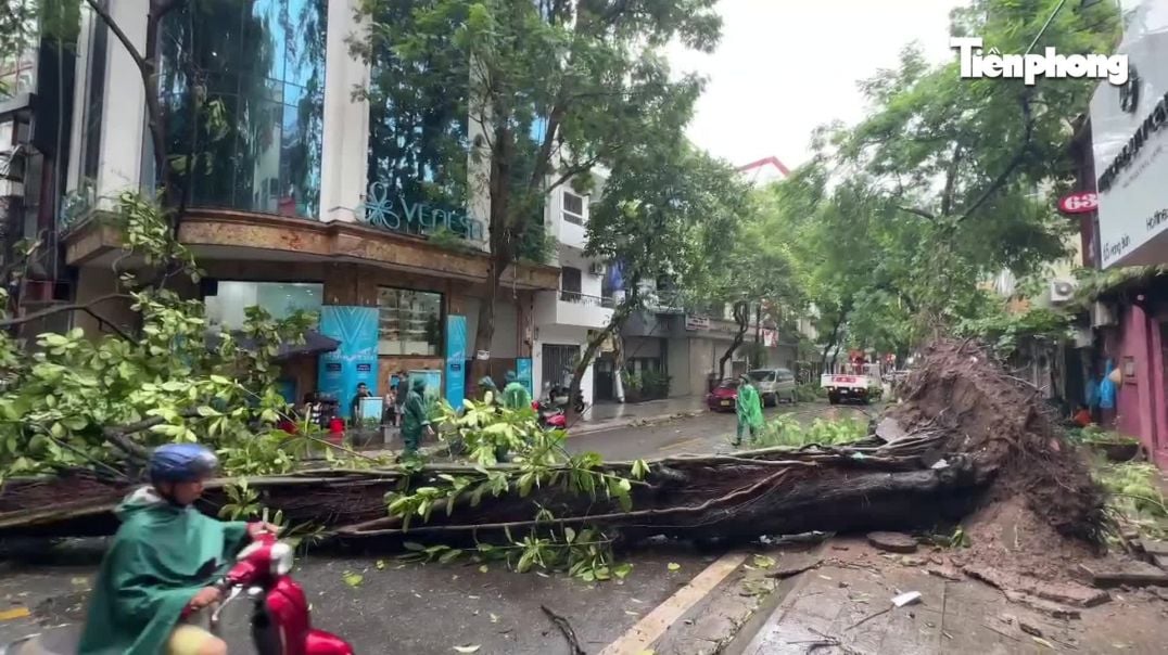 ⁣Hà Nội tan hoang sau khi bão số 3 quét qua