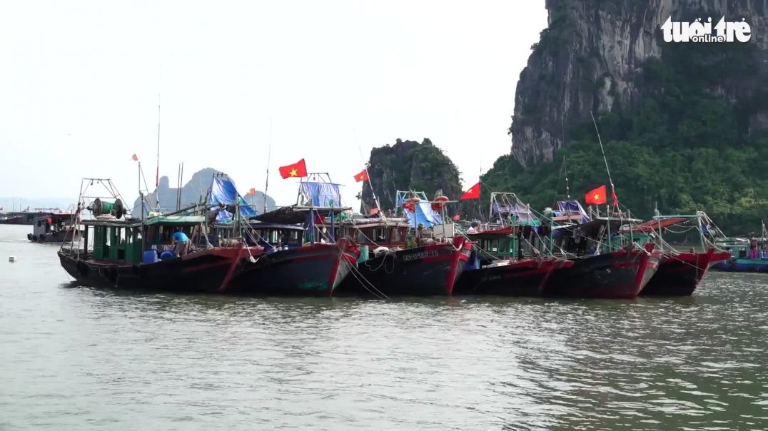 ⁣Quảng Ninh hối hả đưa tàu thuyền đến nơi trú bão, phòng tâm bão số 3 đổ bộ