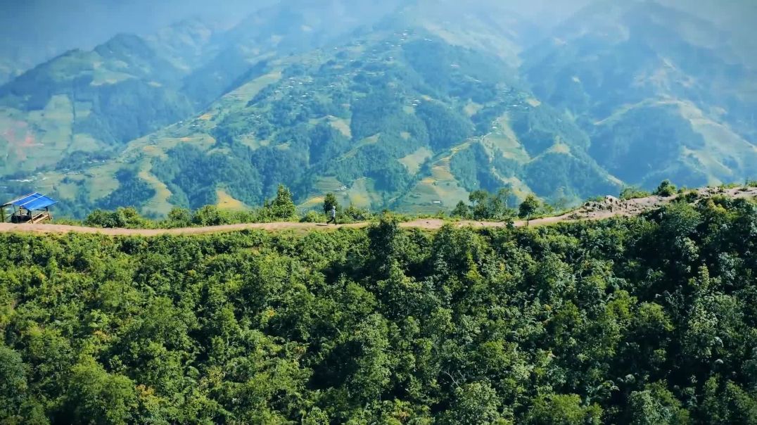 ⁣'Sống lưng khủng long' đẹp lạ ở Mù Cang Chải, khách đến săn ảnh nghìn like