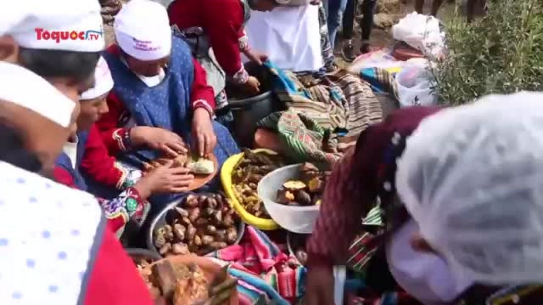 ⁣Khám phá nét tương đồng trong văn hóa ẩm thực Peru - Việt Nam