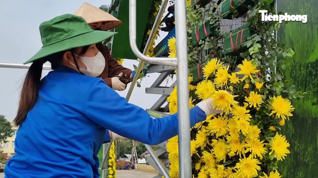 ⁣Ngàn hoa Xuân khoe sắc tại lễ hội hoa lớn nhất miền Bắc