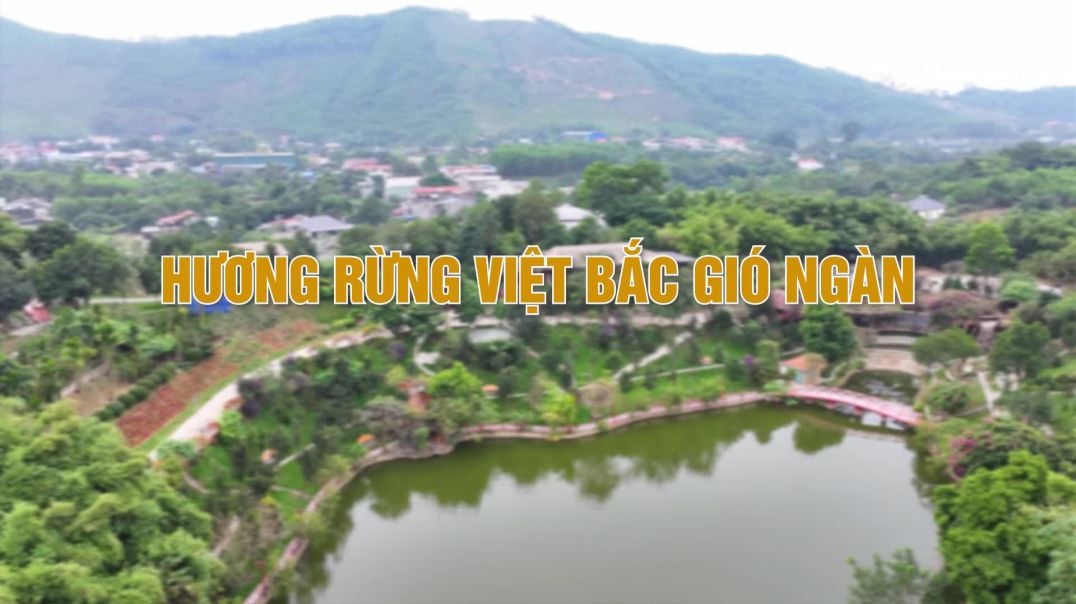 Hương rừng Việt Bắc gió ngàn