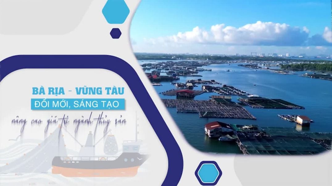 ⁣Bà Rịa - Vũng Tàu đổi mới, sáng tạo nâng cao giá trị ngành thủy sản