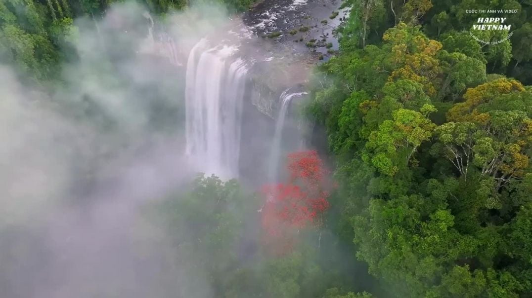 ⁣Mùa hoa Ngô Đồng ở thác Hang Én, Gia Lai