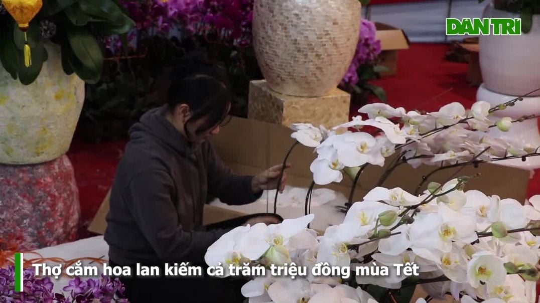 Thợ kết hoa lan kiếm cả trăm triệu đồng trước Tết nguyên đán