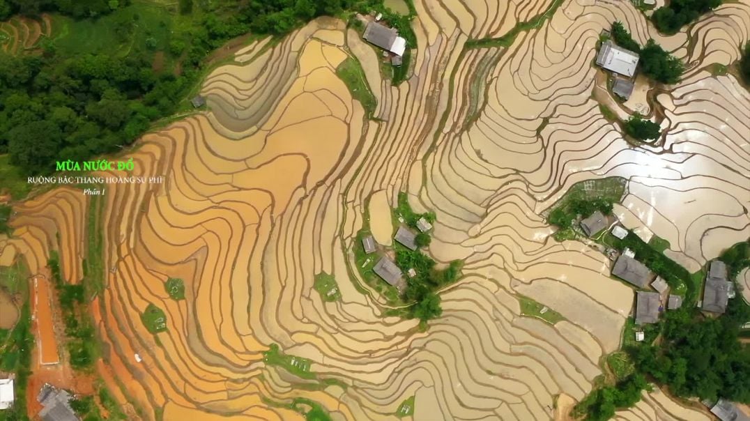 ⁣The beauty of the pouring water season of Hoang Su Phi terraced fields is irresistible